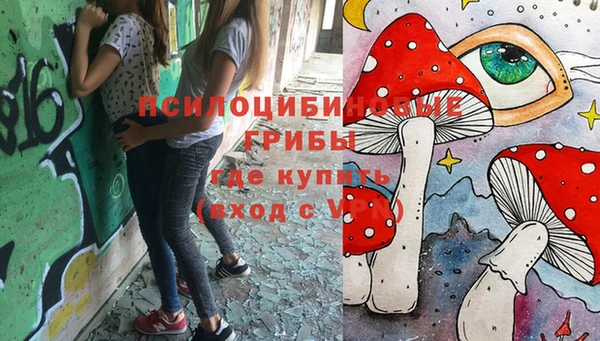 первитин Абинск