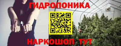 ГАЛЛЮЦИНОГЕННЫЕ ГРИБЫ Абакан
