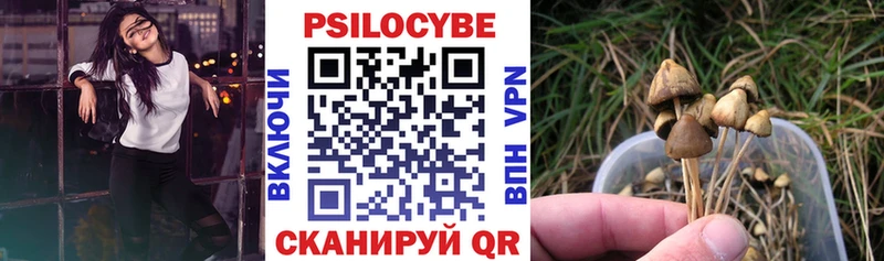 цены   Абинск  Псилоцибиновые грибы MAGIC MUSHROOMS 