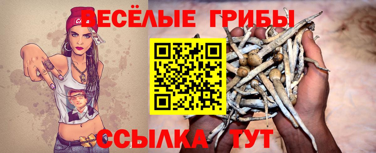 Псилоцибиновые грибы Magic Shrooms  Псилоцибиновые грибы Cubensis  сколько стоит  Вход с VPN  Абинск 